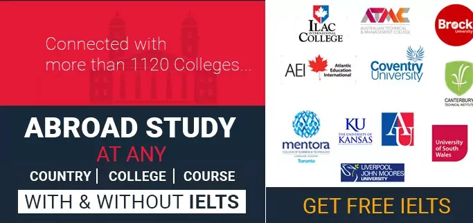 abroad education consultants